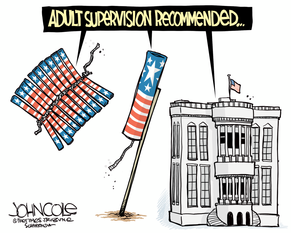 Adult supervision at the White House