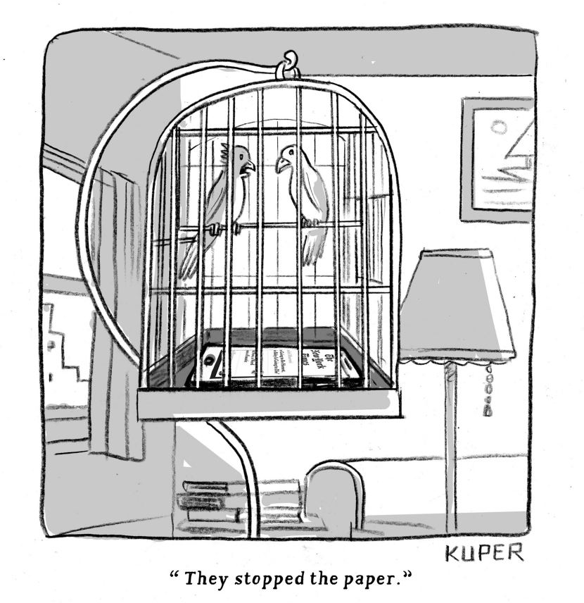 Bird Cage news