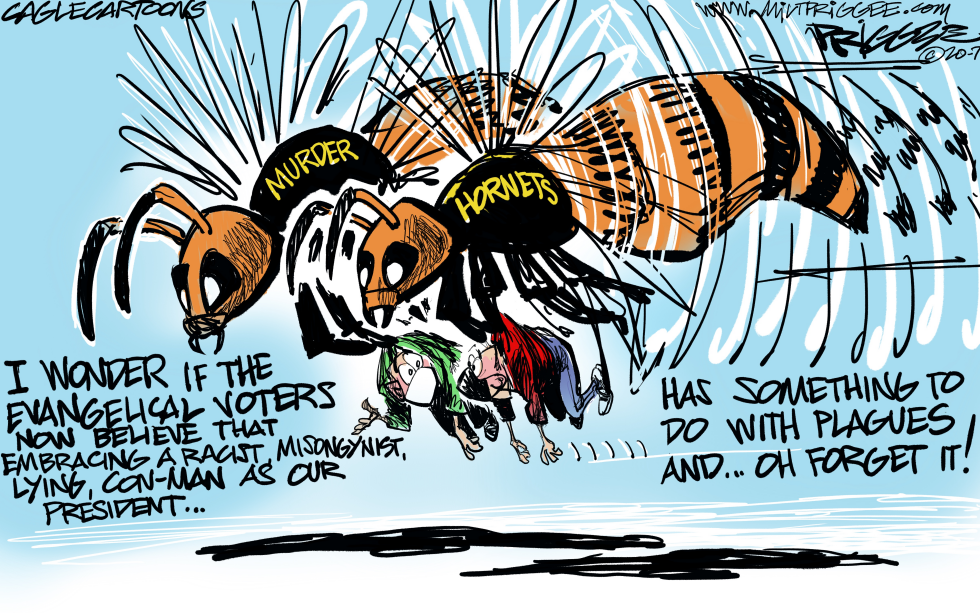 Murder Hornets