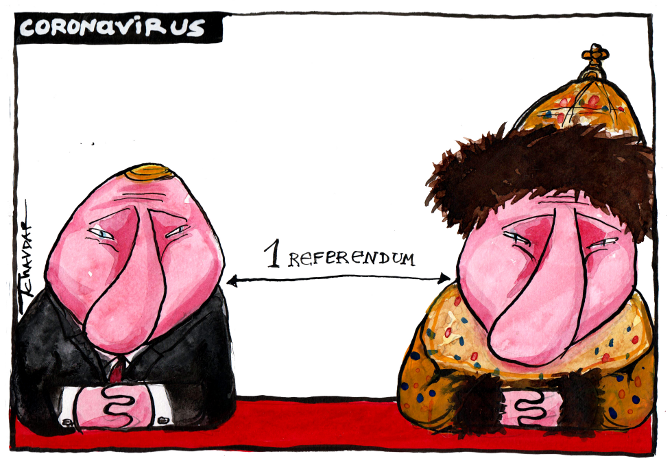 putin's referendum