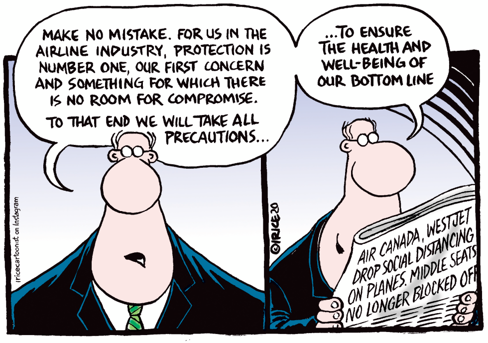 The Canadian Airline Industry