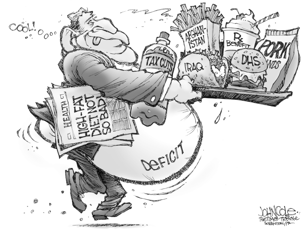 High-fat Bush budget