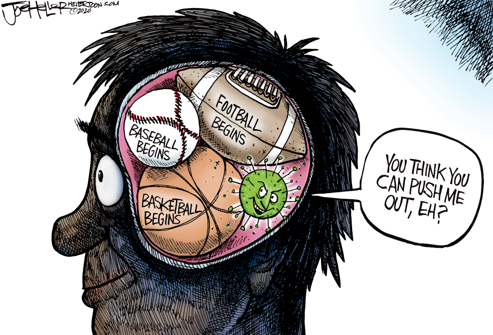 Sports Returns