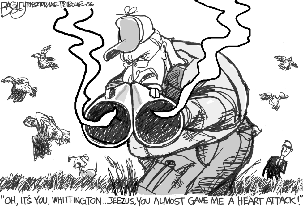 Cheney Misfires