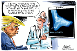 TRUMP'S ACHILLES HEEL by Dave Whamond