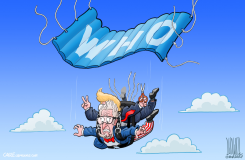 FREE FALL by Luojie
