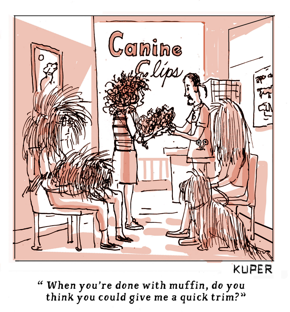 Haircuts During a Pandemic