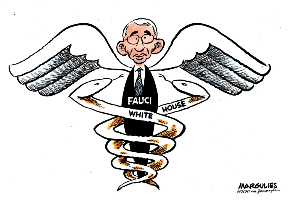 Fauci and the White House