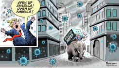 TRUMP REELECTION HOPES by Paresh Nath