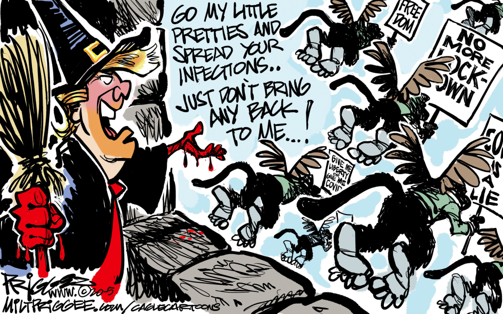 The Wicked