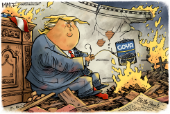 TRUMP BURNS BEANS by Rick McKee