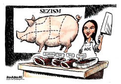 AOC AND SEXIST CONGRESSMAN YOHO by Jimmy Margulies
