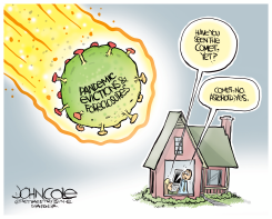 PANDEMIC HOUSING ASTEROID by John Cole