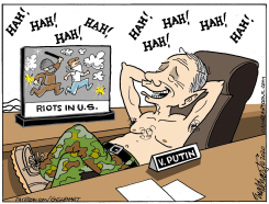 RIOTS IN AMERICA by Bob Englehart