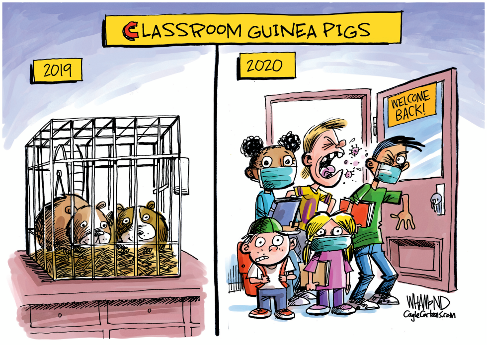 Schools to reopen amid pandemic