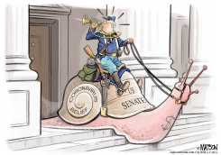 SENATE CAVALRY CORONAVIRUS RELIEF by R.J. Matson