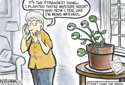 ABOUT THOSE SEEDS FROM CHINA by Jeff Koterba