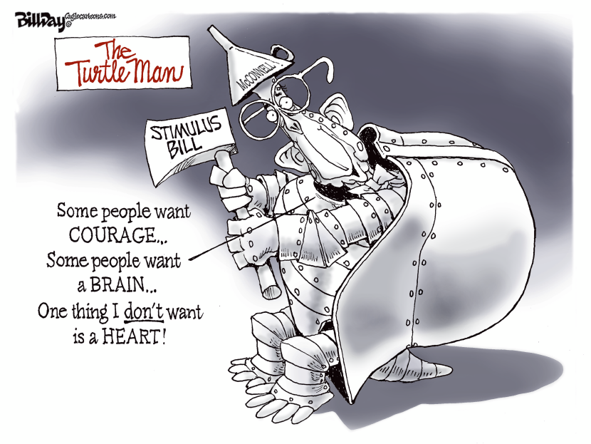 The Turtle Man