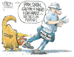MAIL-IN VOTING by John Darkow