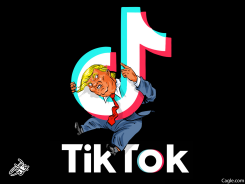 TRUMP VS TIKTOK by Osama Hajjaj