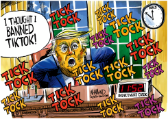 BAN ON TICK TOCKS by Dave Whamond