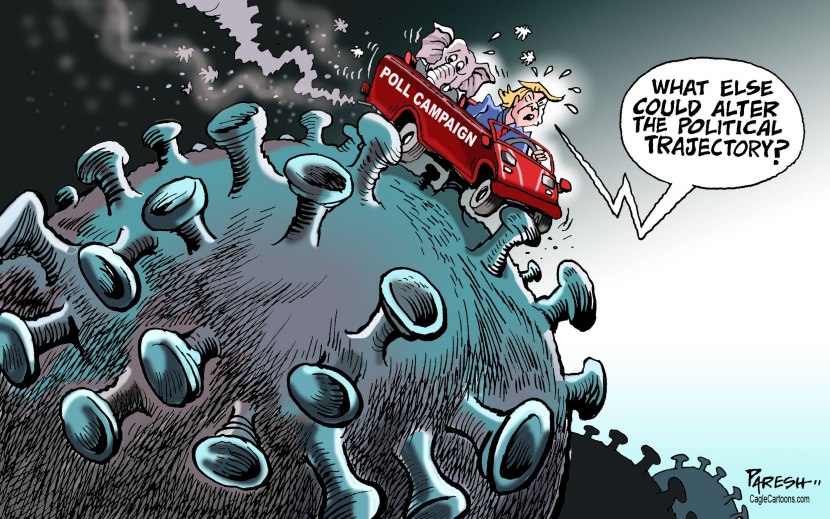 Trump poll campaign