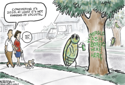 AND THEN CAME THE ASH BORER by Jeff Koterba