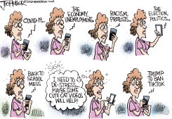 TIKTOK BAN by Joe Heller