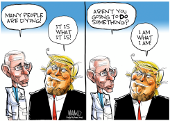 IT IS WHAT IT IS by Dave Whamond