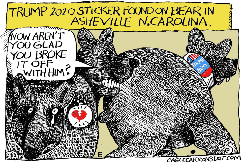 Bears For Trump