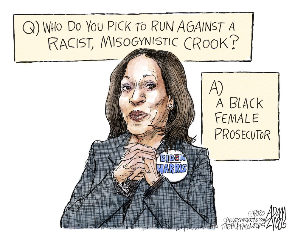 Kamala Harris pick