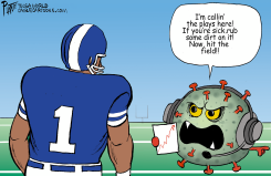 WHO'S CALLIN' THE PLAYS by Bruce Plante