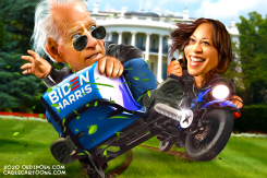PRESIDENTIAL SPRINGBOARD HARRIS by Bart van Leeuwen