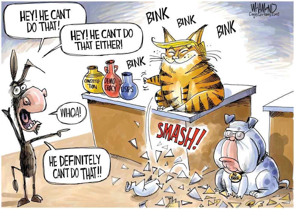 Smashing the democratic norms