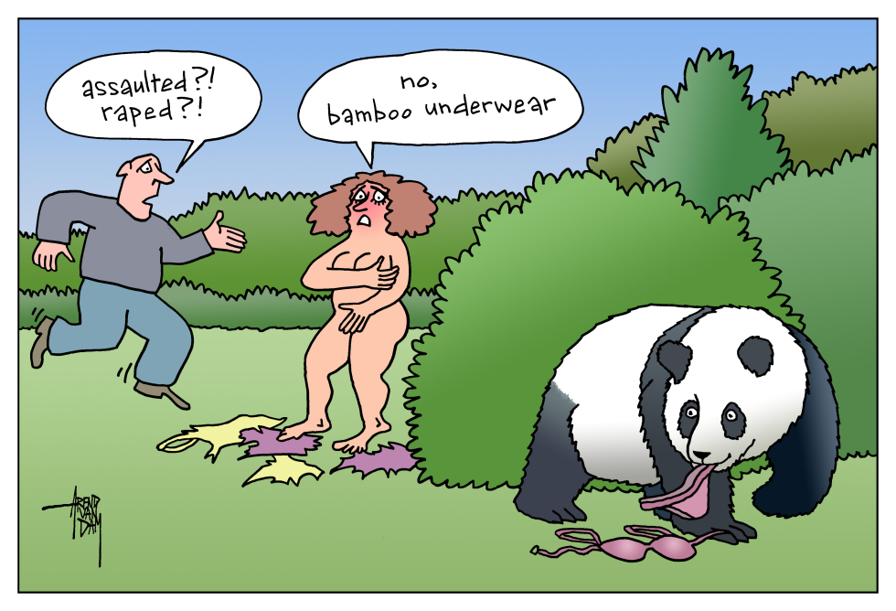 bamboo underwear