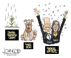 BIDEN AND HARRIS by John Cole