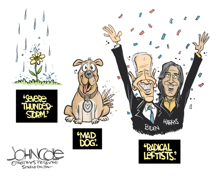 Biden and Harris