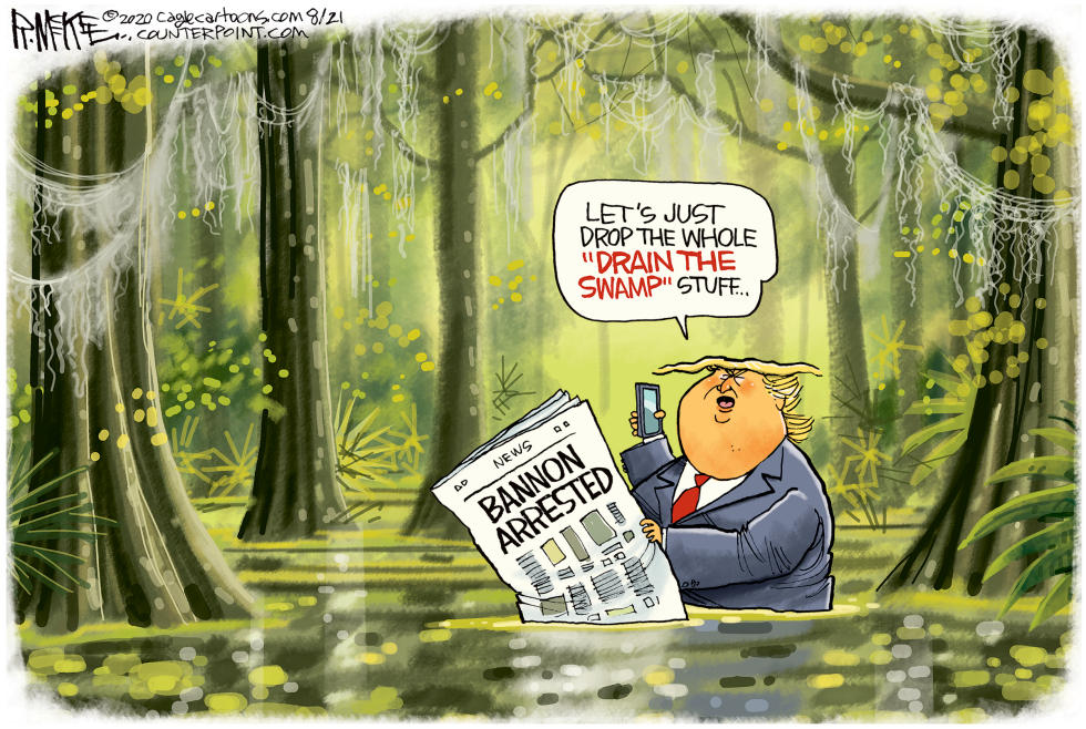 Swampy Trump and Bannon