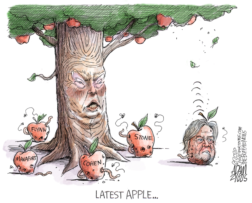 Bannon and the Don Father