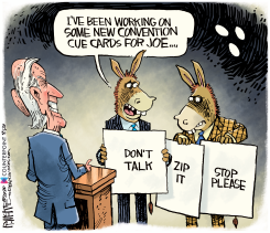 BIDEN GAFFES by Rick McKee