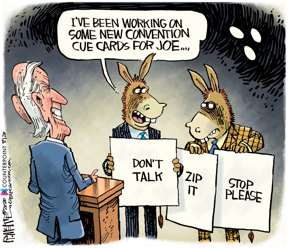 Biden Gaffes