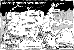 MERELY FLESH WOUNDS by Monte Wolverton