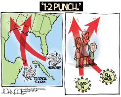 VIRUSES AND HURRICANES by John Cole