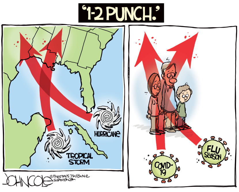 Viruses and hurricanes