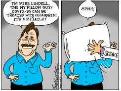 MY PILLOW GUY by Bob Englehart