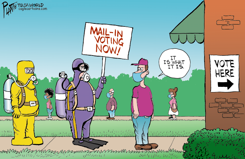 VOTING IN 2020 by Bruce Plante