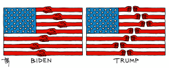 BIDEN-FLAG VS TRUMP-FLAG by Arend van Dam