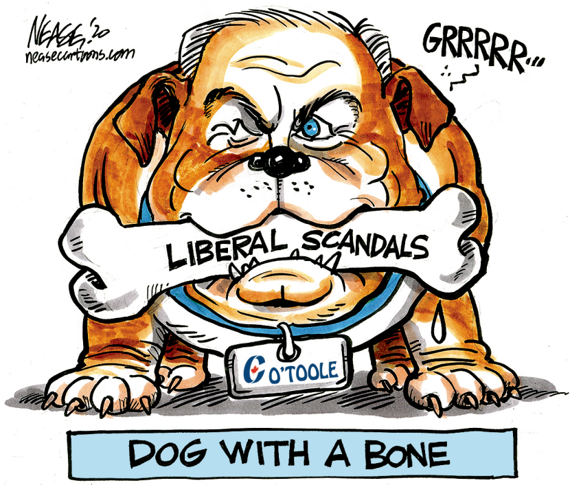 Dog With Bone