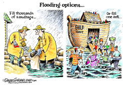 GULF COAST HURRICANE by Dave Granlund