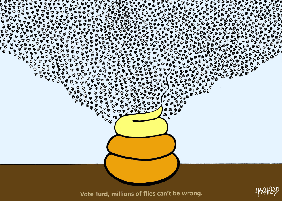 Advice for the fall elections